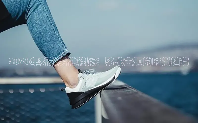 2026年新款男性鞋履：骆驼主题的时尚趋势
